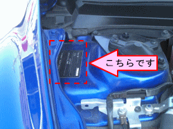 お車のカラーナンバーはエンジンルーム運転先側です